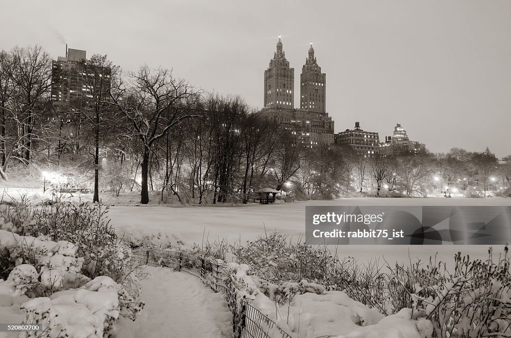Central Park Winter High-Res Stock Photo - Getty Images