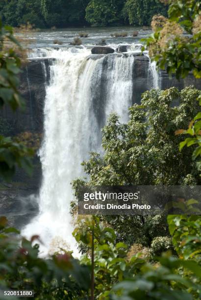 athirappilly, athirapally falls, trichur, thrissur, kerala, india - kerala waterfall stock pictures, royalty-free photos & images