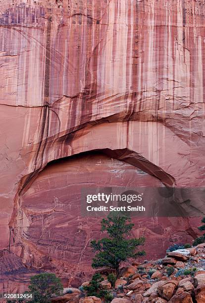 Wingate Park Photos and Premium High Res Pictures - Getty Images