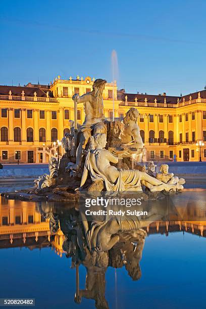 schonbrunn palace in vienna - schonbrunn palace stock pictures, royalty-free photos & images