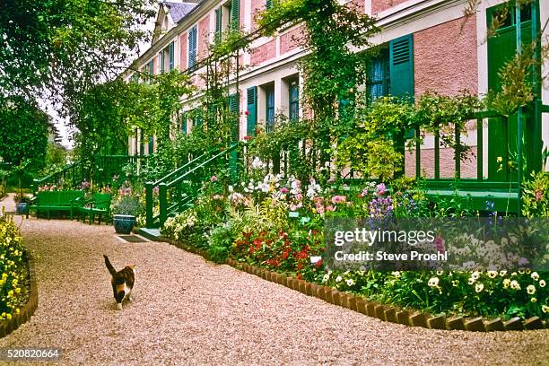 monet's cat - giverny stock pictures, royalty-free photos & images