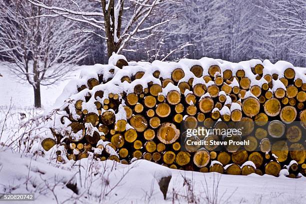 winter woodpile - leña fotografías e imágenes de stock