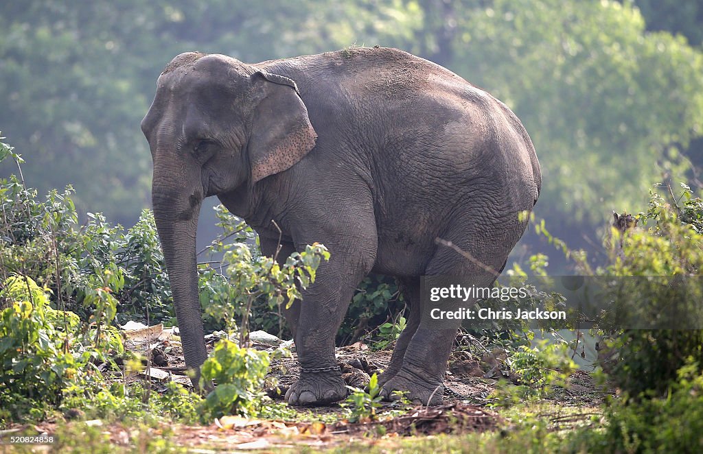 The Duke And Duchess Of Cambridge Visit India And Bhutan - Day 4