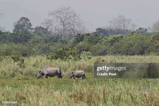 Wild life spotted on a Game drive by Prince William, Duke of Cambridge and Catherine, Duchess of Cambridge at Kaziranga National Park at Kaziranga...