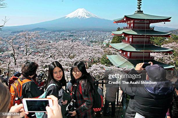 Visitors pose for a photo against a backdrop combining snow-capped Mount Fuji, cherry blossoms and a five-stroy pagoda at Arakurayama Sengen Park on...