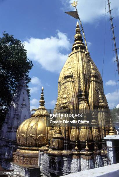 452 Kashi Vishwanath Temple Photos and Premium High Res Pictures - Getty Images 452 Kashi Vishwanath Temple Photos and Premium High Res Pictures - Getty Images