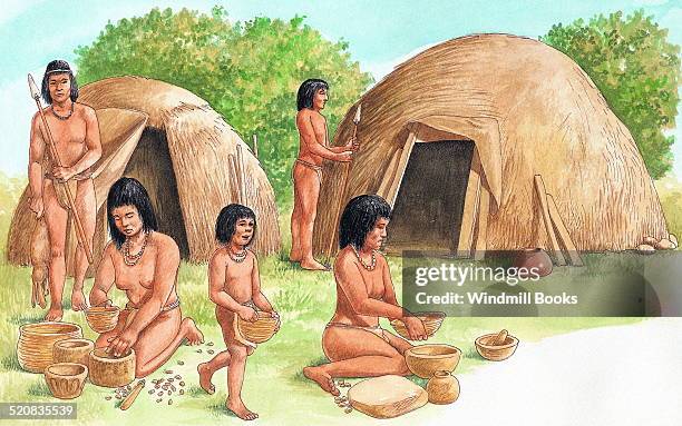 Acorns, the main food of the Californian Indians, were poisonous if not treated carefully. They were first pounded into flour. The flour was then put...