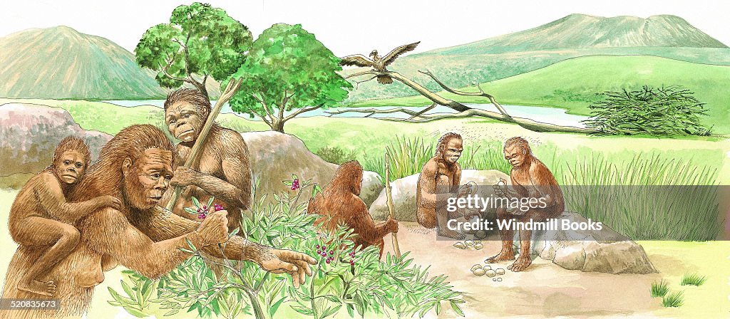 The earliest humans.