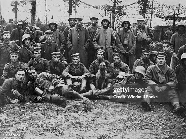 Battle of Broodseinde Ridge. A group of German prisoners with the Regimental pet that was captured at Poelcappelle. Seen in a prisoner's camp near...