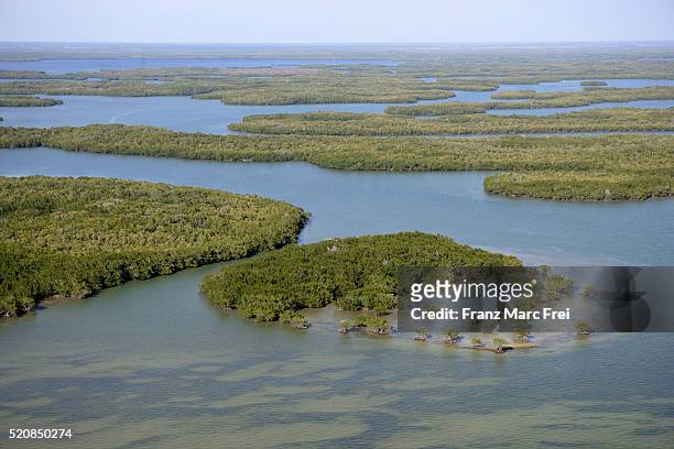 islands of mangrove in florida everglades - everglades national park fotografías e imágenes de stock
