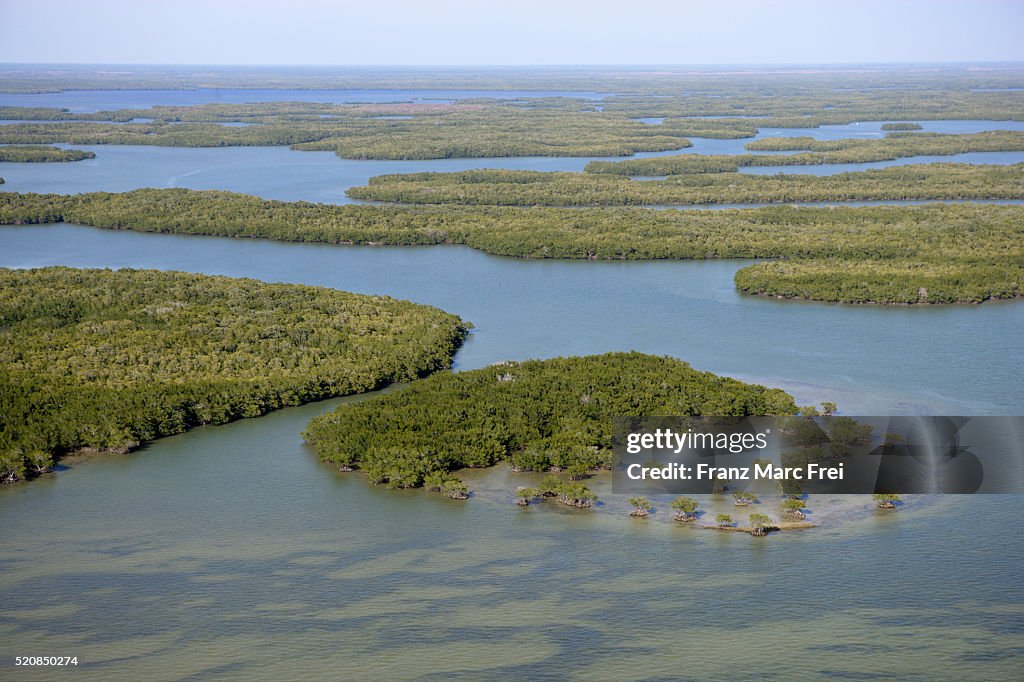Islands of Mangrove in Florida Everglades