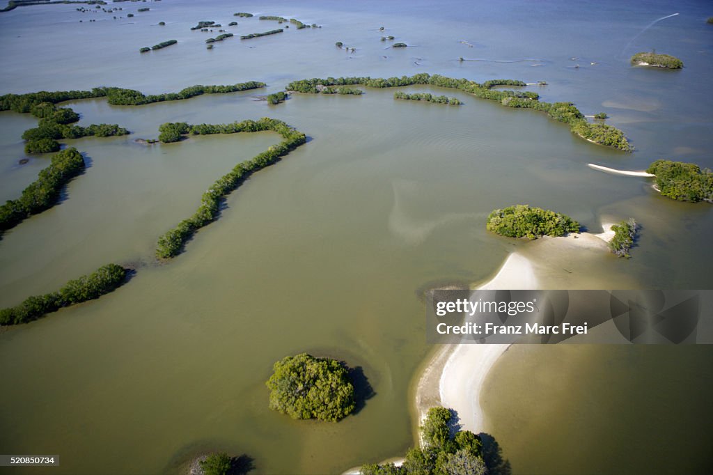Mangroves in Ten Thousand Islands National Wildlife Refuge