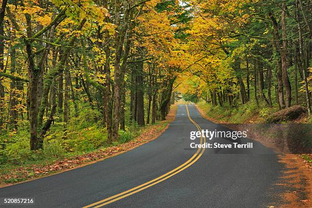 old columbia river highway - old columbia river highway stock pictures, royalty-free photos & images