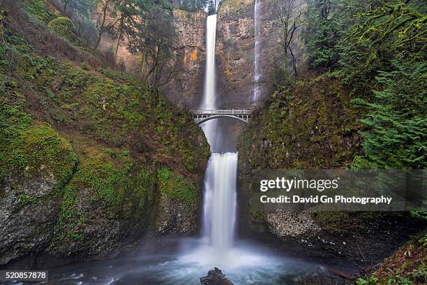 multnomah falls in springtime - david cliff stockfoto's en -beelden