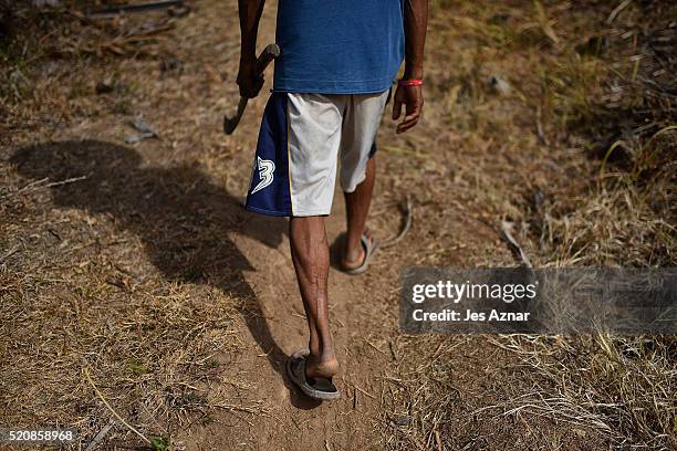 Farmer Felicito Tomas walks across his dried up corn field in the agricultural mountain area of Kabacan on April 10, 2016 in Cotabato, Mindanao,...