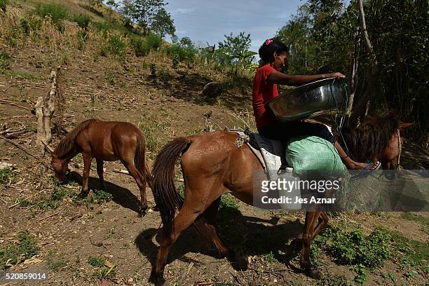 Villager travels with her horse to collect water and wash clothes in a stream 2 kilometers from her village in Kabacan on April 10, 2016 in Cotabato,...