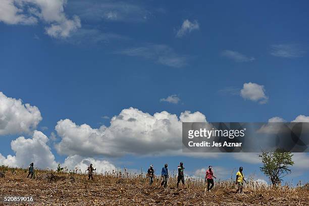 Farmers cross a dried up corn field in Kabacan on April 9, 2016 in Cotabato, Mindanao, Philippines. The heatwave brought on by the El Nino weather...