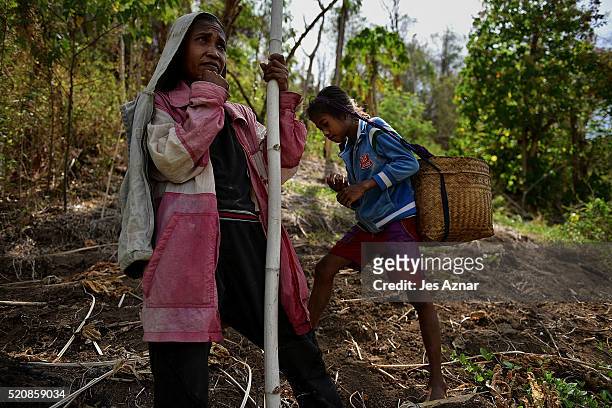 Ivy Erames and her daughter Genevie forage for fruits and and other edible plants around their village in Kabuling, Kabacan on April 10, 2016 in...