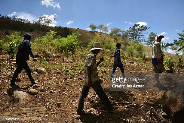 Farmers cross a dried up corn field in Kabacan on April 9, 2016 in Cotabato, Mindanao, Philippines. The heatwave brought on by the El Nino weather...