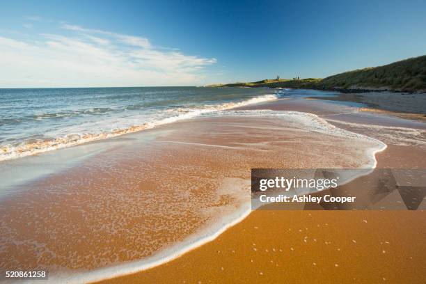 waves on the beach at high tide near low newton by the sea, looking towards dunstanburgh castle, - alta marea foto e immagini stock