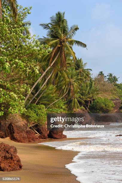 india, kerala, the lakshadweep sea near kannur - arabian sea stock pictures, royalty-free photos & images