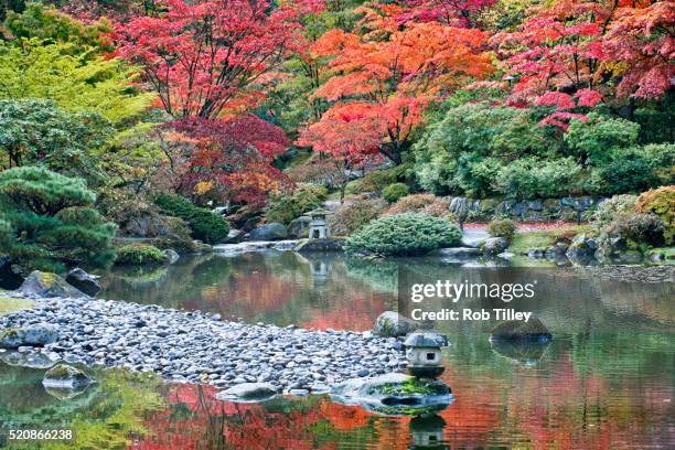japanese garden - japanischer garten stock-fotos und bilder