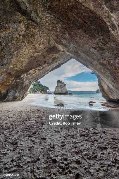 cathiedral cove - halbinsel coromandel peninsula stock-fotos und bilder