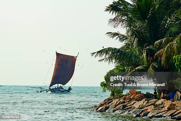 sri lanka, western province, negombo, catamaran - negombo stockfoto's en -beelden