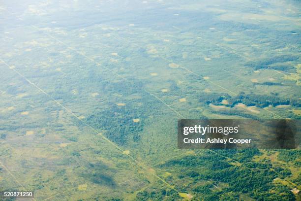 boreal forest - fort mcmurray stock pictures, royalty-free photos & images