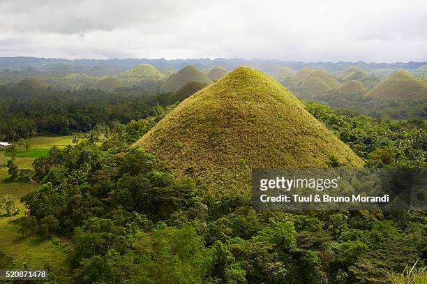 chocolate hills on bohol island, philippines - bohol philippines stock pictures, royalty-free photos & images