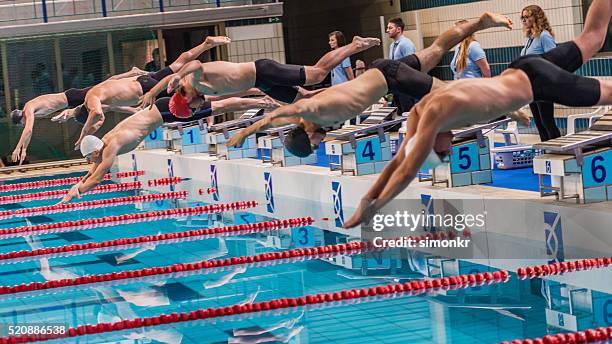 macho nadador salto - torneo de natación fotografías e imágenes de stock