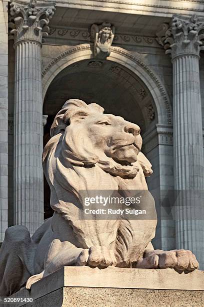 new york city public library - lion statue stock pictures, royalty-free photos & images