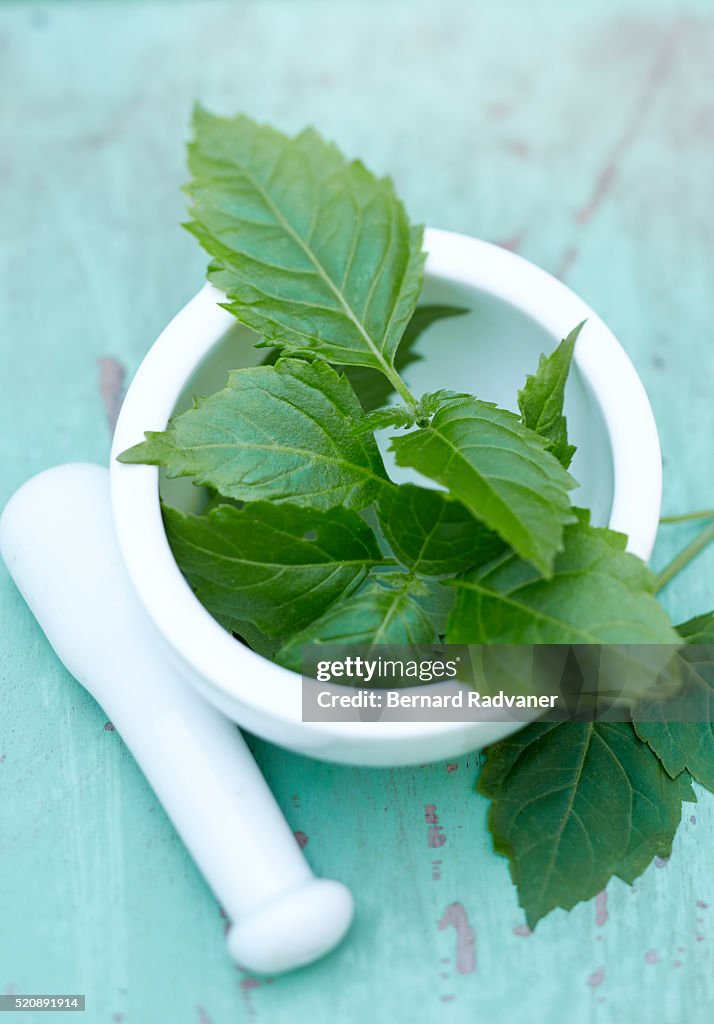 Mortar with patchouli, pogostemon cablin leaves