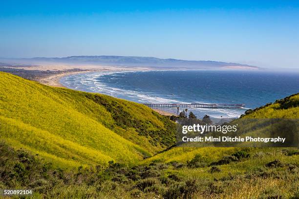 view from the pismo preserve - pismo beach stock pictures, royalty-free photos & images