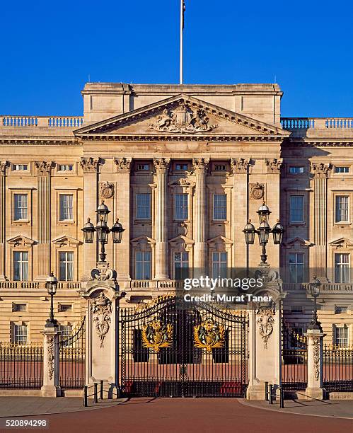buckingham palace - buckingham palace stockfoto's en -beelden