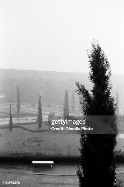 trees and empty bench brindavan gardens, mysore, karnataka, india, asia, 1977 - 1977 stock pictures, royalty-free photos & images