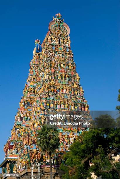 meenakshi temple, madurai, tamilnadu, india - shrine stock-fotos und bilder