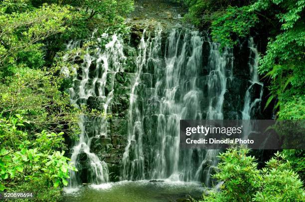 141 Tinsukia Stock Photos, HighRes Pictures, and Images Getty Images