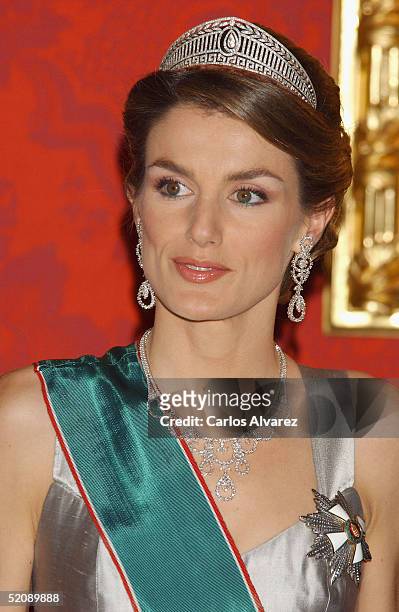 Princess Letizia of Spain attends a Gala Dinner reception for the Hungarian President and his wife at the Royal Palace in Madrid on January 31, 2005...