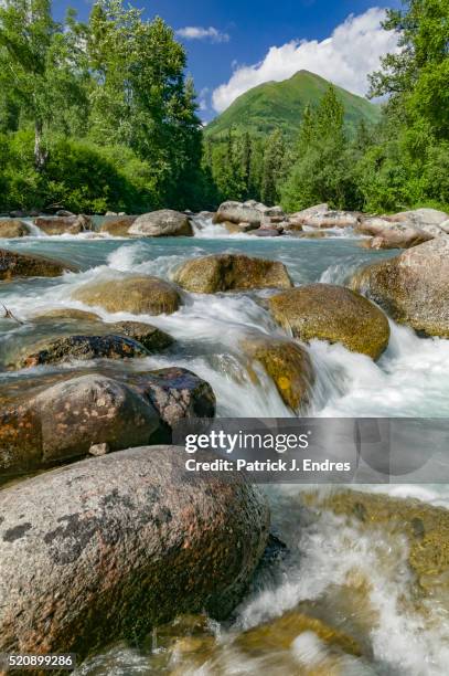 little susitna river - mt susitna stock pictures, royalty-free photos & images