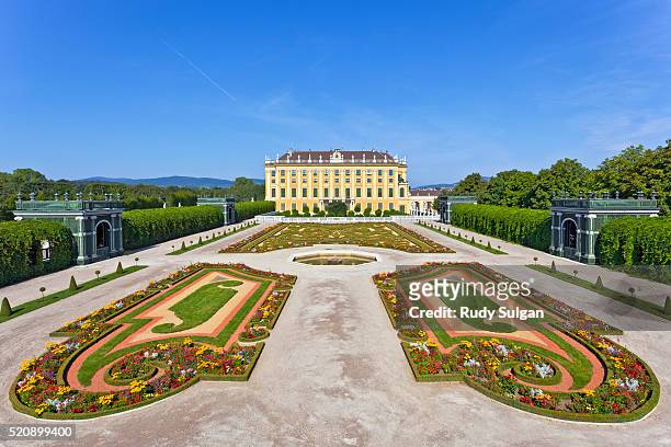 schonbrunn palace in vienna - schonbrunn palace vienna stock pictures, royalty-free photos & images