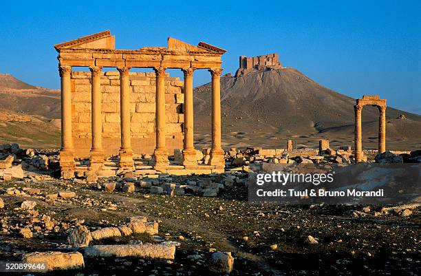 yria, homs governate, palmyra. funerary temple and arab citadel - palmyra stock pictures, royalty-free photos & images