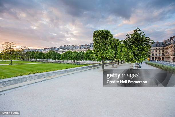 jardin des tuileries in paris, france - jardín de las tullerías fotografías e imágenes de stock