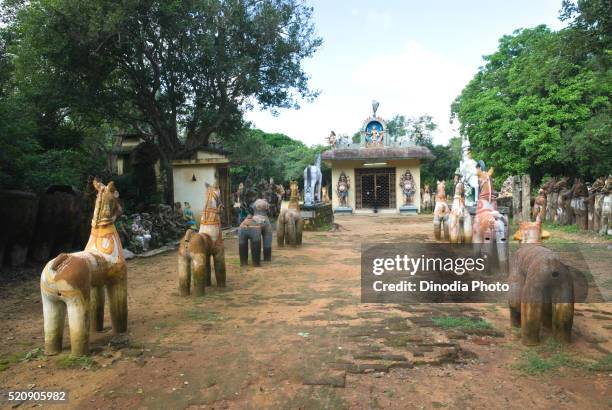 sacred grove, ayyanar temple, oorappatti, pudukkottai, tamil nadu, india - grove stock pictures, royalty-free photos & images