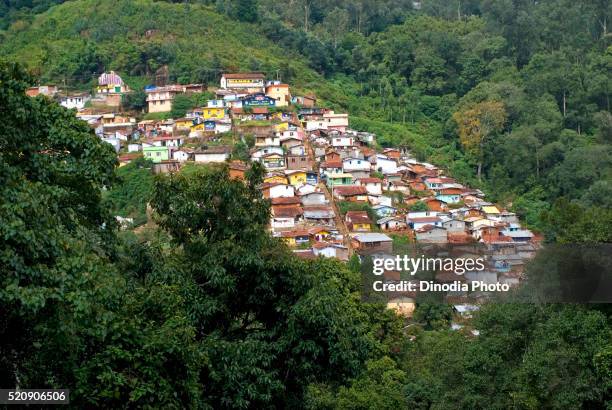 hillside dwelling at ootacamund, tamil nadu, india - ooty stock pictures, royalty-free photos & images