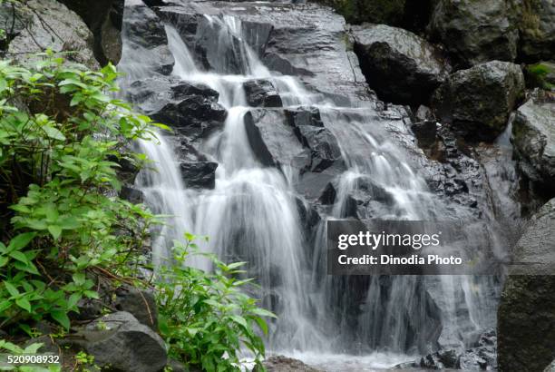 waterfall, malshej ghat, maharashtra, india - malshej ghat stock-fotos und bilder