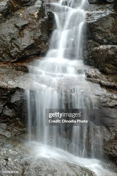 waterfall, malshej ghat, maharashtra, india - malshej ghat stockfoto's en -beelden