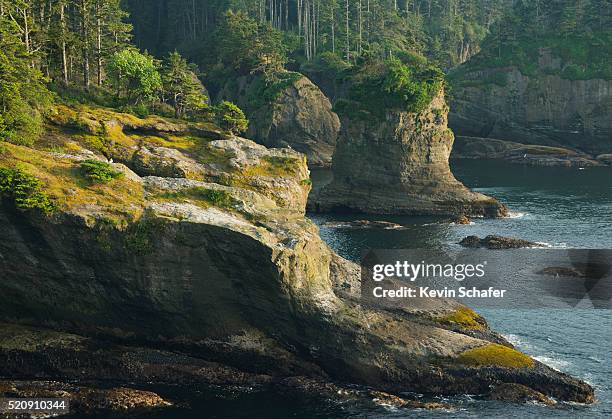 cliffs and seastacks, cape flattery, washington state - cape flattery 個照片及圖片檔