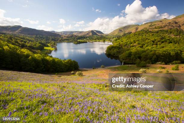 Spring Landscape Uk Lake District Spring Flowers Photos and Premium High Res Pictures ...