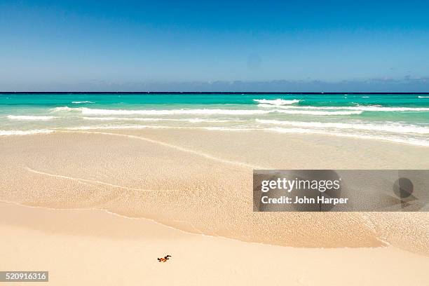 varadero beach, cuba - varadero beach stock pictures, royalty-free photos & images